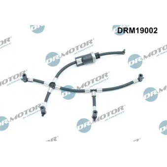 Tuyau, carburant de fuite Dr.Motor