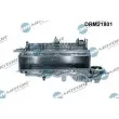 Module de tube d'admission Dr.Motor DRM21801 - Visuel 1
