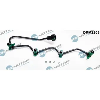 Tuyau, carburant de fuite Dr.Motor