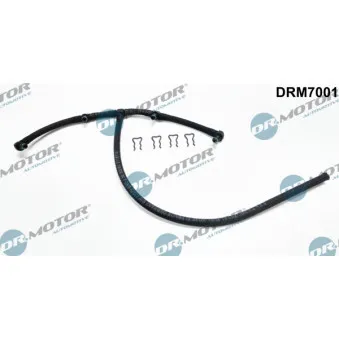 Tuyau, carburant de fuite Dr.Motor