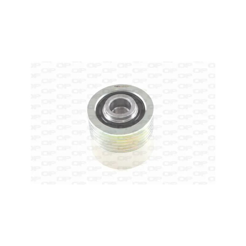 Poulie roue libre, alternateur OPEN PARTS ACA3010.00