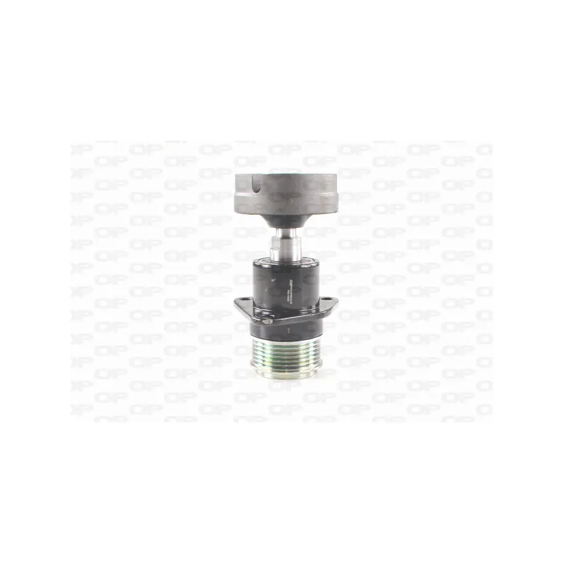 Poulie roue libre, alternateur OPEN PARTS ACA3012.00