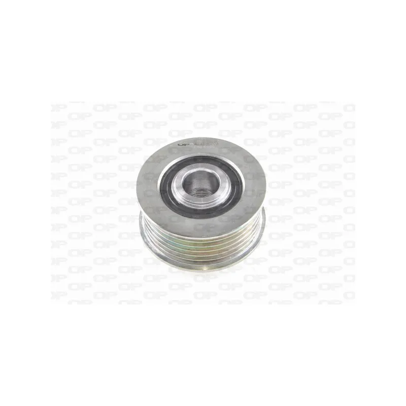 Poulie roue libre, alternateur OPEN PARTS ACA3014.00