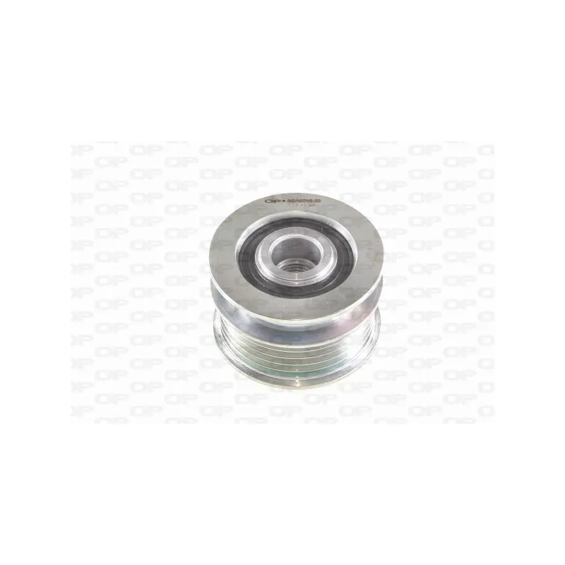 Poulie roue libre, alternateur OPEN PARTS ACA3015.00
