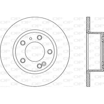 Jeu de 2 disques de frein arrière OPEN PARTS BDA1116.10