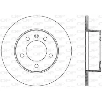 Jeu de 2 disques de frein arrière OPEN PARTS BDA2001.10