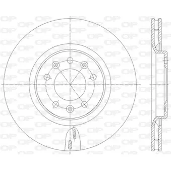 Jeu de 2 disques de frein arrière OPEN PARTS