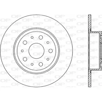 Jeu de 2 disques de frein arrière OPEN PARTS BDR1234.10