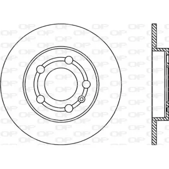 Jeu de 2 disques de frein arrière OPEN PARTS BDR1745.10