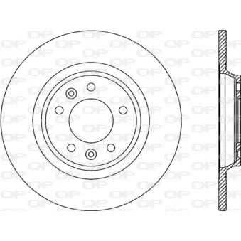 Jeu de 2 disques de frein arrière OPEN PARTS BDR2034.10