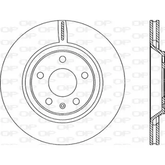 Jeu de 2 disques de frein arrière OPEN PARTS BDR2271.20