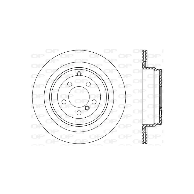 Jeu de 2 disques de frein arrière OPEN PARTS BDR2506.20