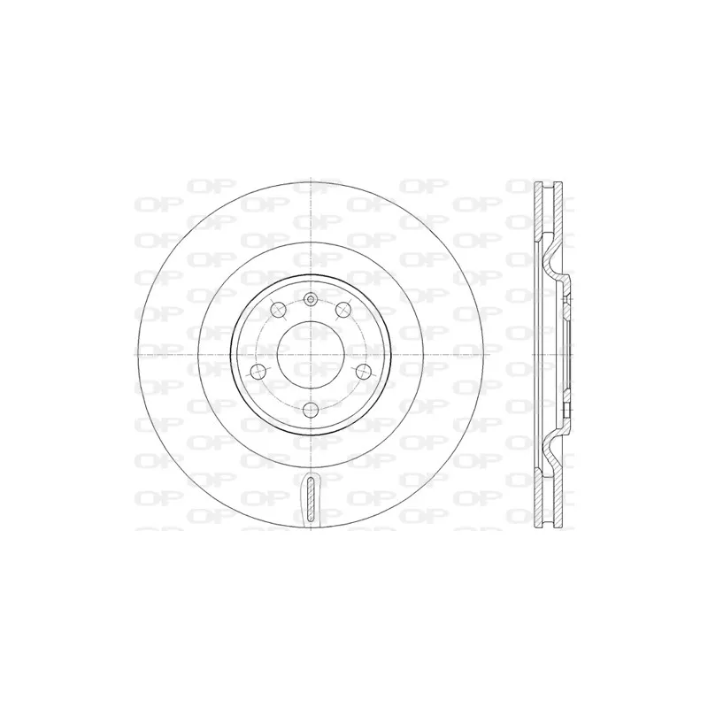 Jeu de 2 disques de frein arrière OPEN PARTS BDR2822.20