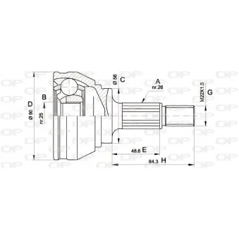 Embout de cardan avant (kit de réparation) OPEN PARTS CVJ5576.10