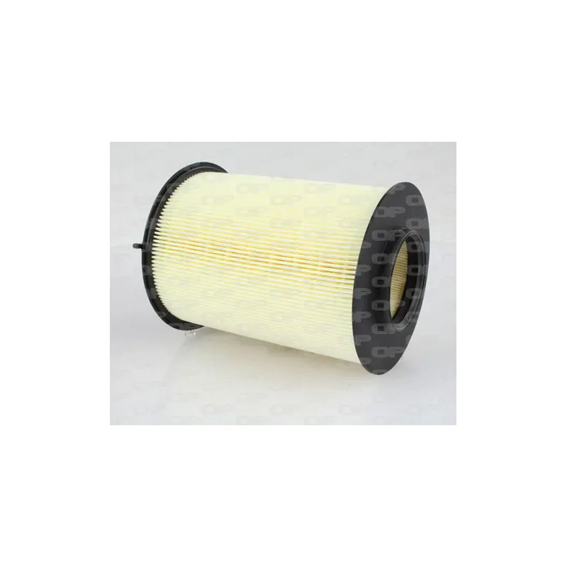 Filtre à air OPEN PARTS EAF3009.20