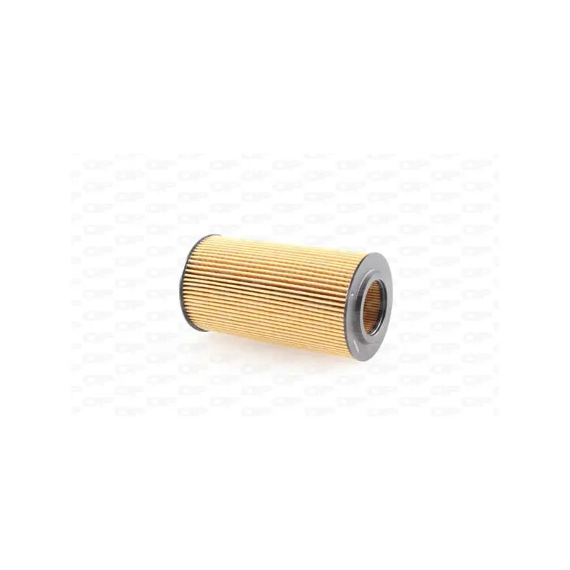 Filtre à huile OPEN PARTS EOF4244.10