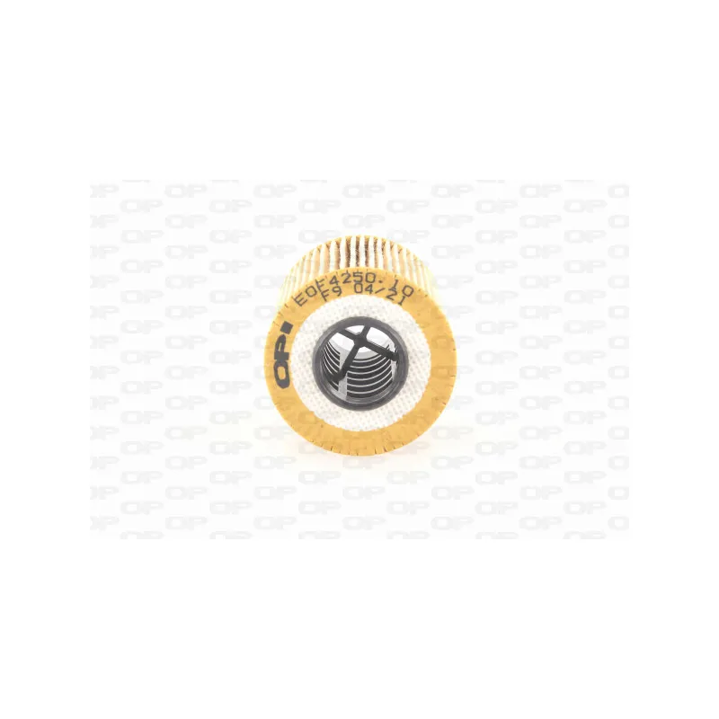 Filtre à huile OPEN PARTS EOF4250.10