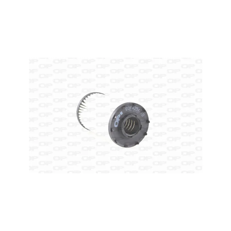 Filtre à huile OPEN PARTS EOF4254.10