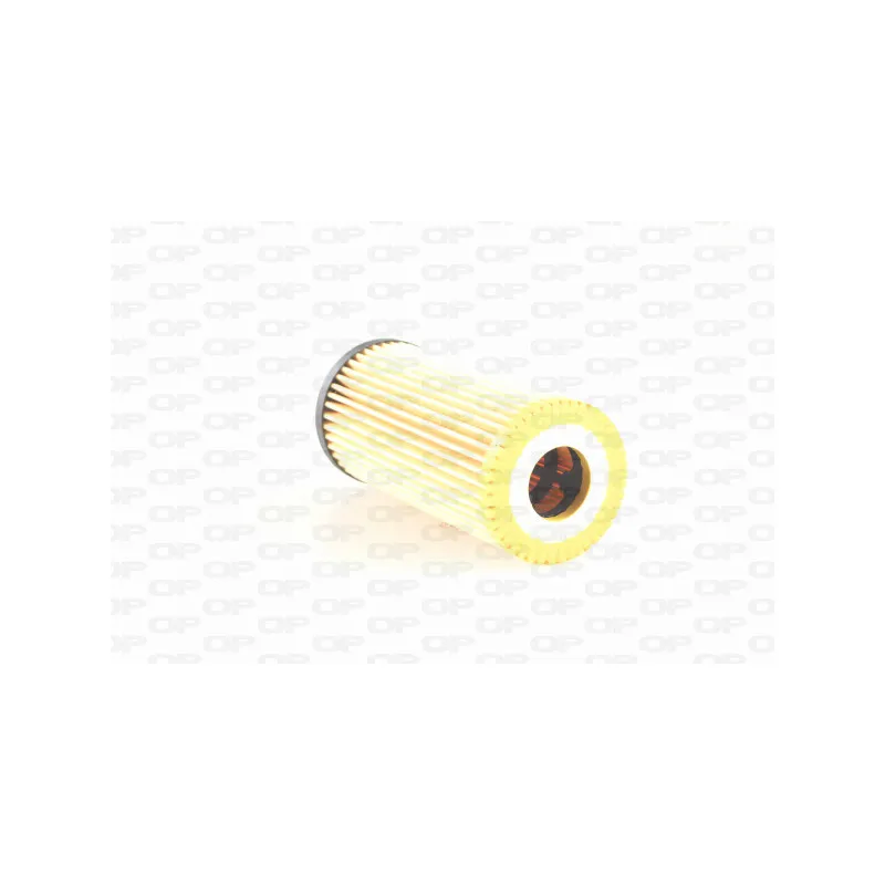 Filtre à huile OPEN PARTS EOF4256.10