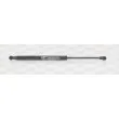 Vérin de hayon, de coffre OPEN PARTS GSR6328.00 - Visuel 1