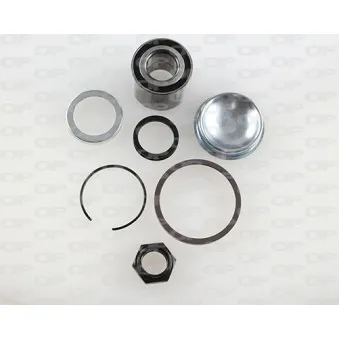 Roulement de roue arrière OPEN PARTS HBK5009.01