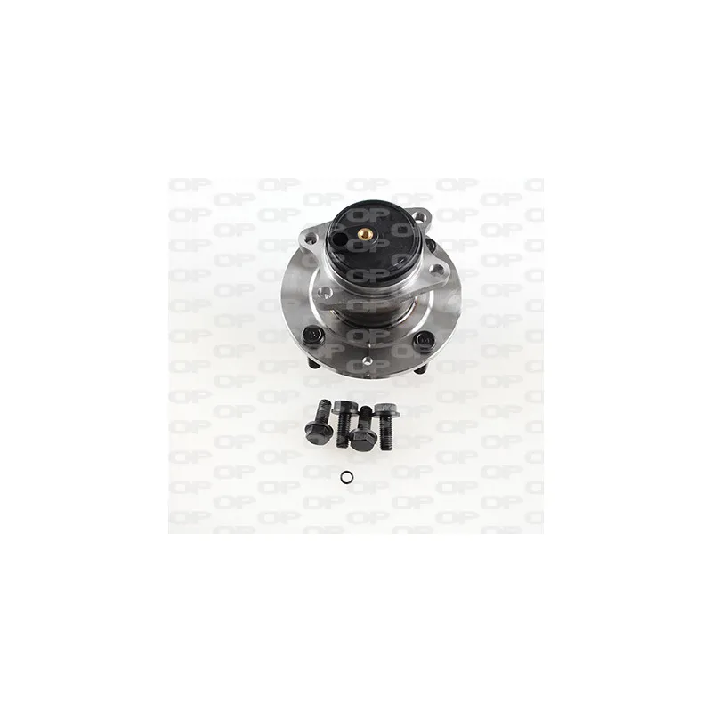 Roulement de roue arrière OPEN PARTS HBK5097.03
