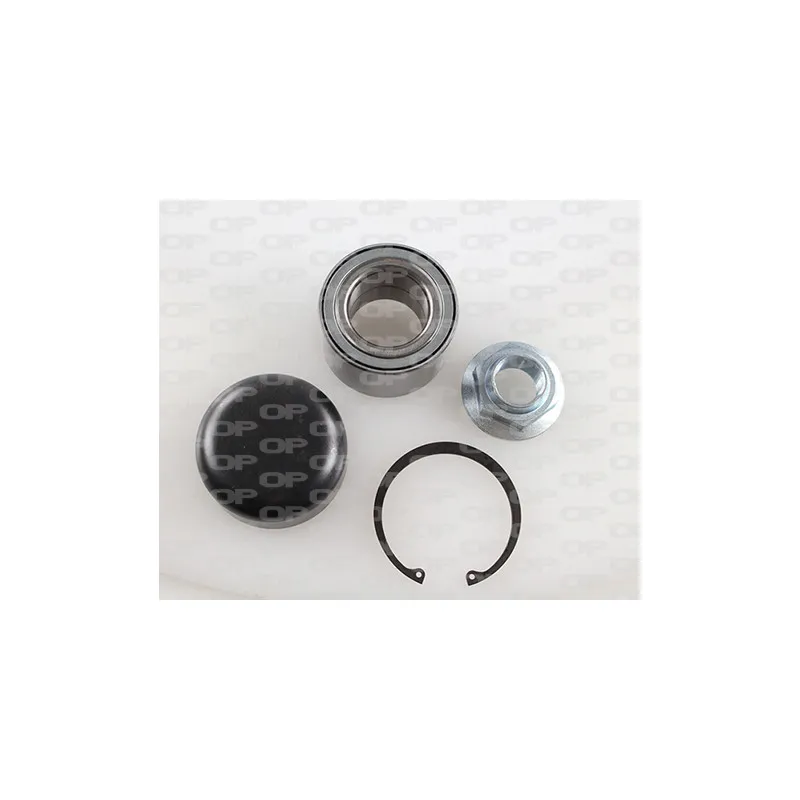 Roulement de roue arrière OPEN PARTS HBK5173.01