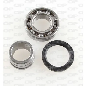 Roulement de roue arrière OPEN PARTS HBK5187.00