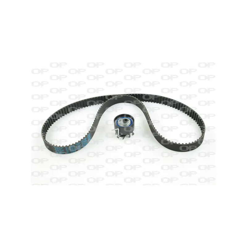 Kit de distribution OPEN PARTS TBK5005.01