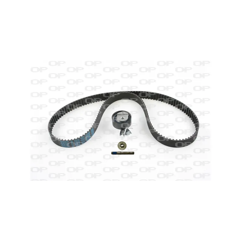 Kit de distribution OPEN PARTS TBK5006.01