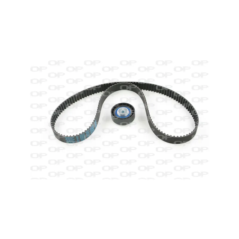 Kit de distribution OPEN PARTS TBK5007.01