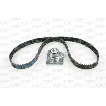 Kit de distribution OPEN PARTS TBK5008.01