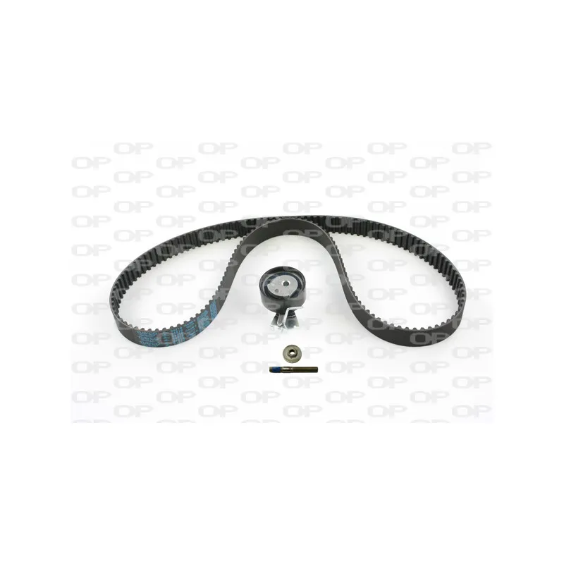 Kit de distribution OPEN PARTS TBK5009.01