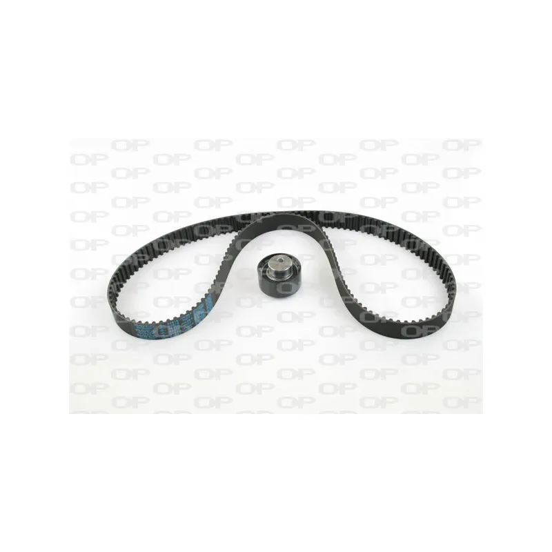Kit de distribution OPEN PARTS TBK5011.01