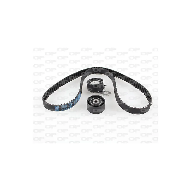 Kit de distribution OPEN PARTS TBK5013.11
