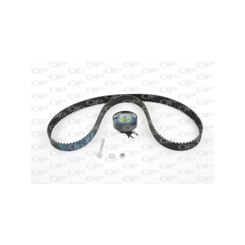 Kit de distribution OPEN PARTS TBK5019.01