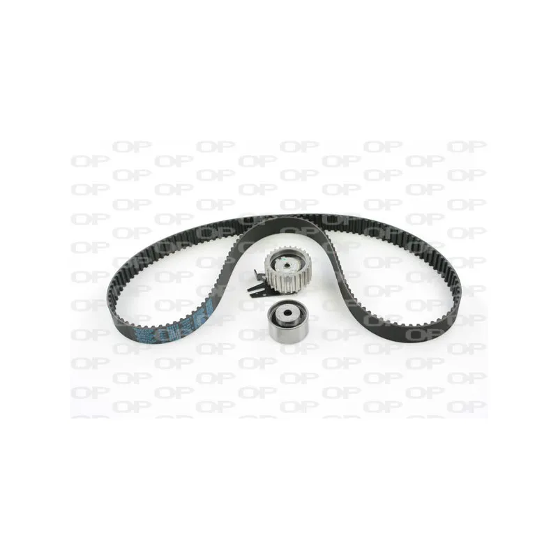Kit de distribution OPEN PARTS TBK5020.01
