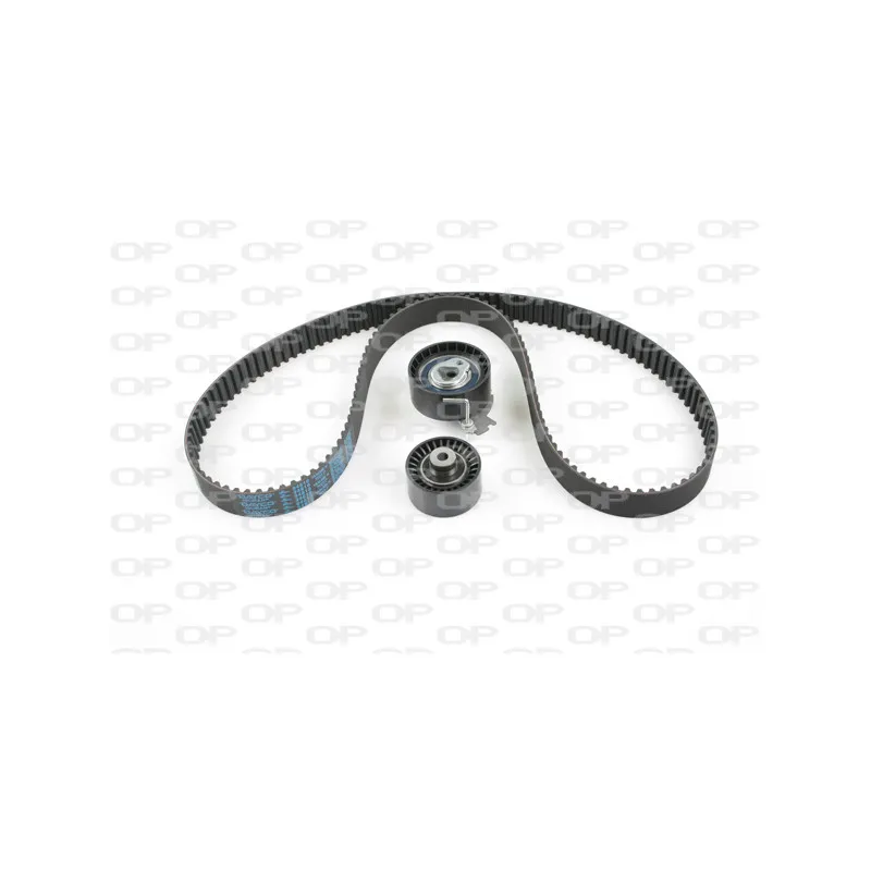 Kit de distribution OPEN PARTS TBK5021.01