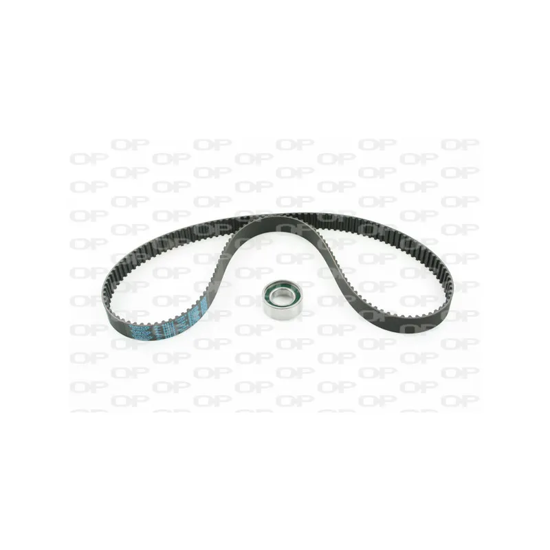 Kit de distribution OPEN PARTS TBK5022.00