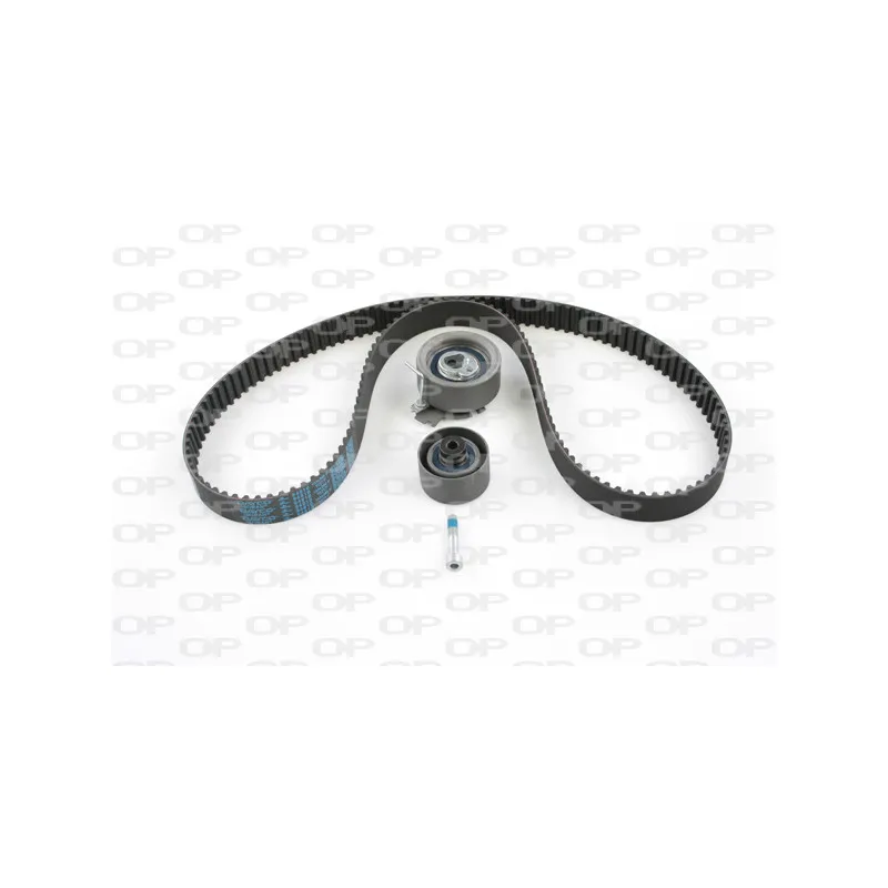 Kit de distribution OPEN PARTS TBK5023.01