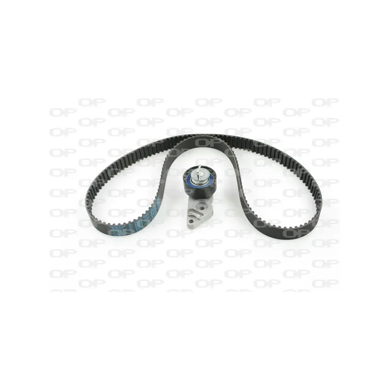 Kit de distribution OPEN PARTS TBK5024.01