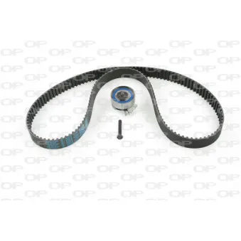 Kit de distribution OPEN PARTS TBK5025.01
