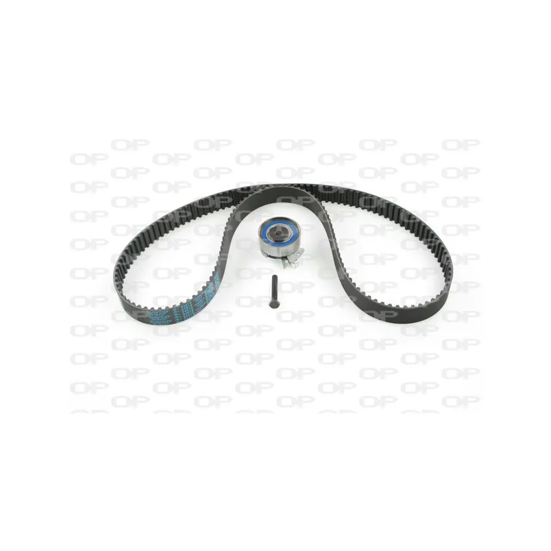 Kit de distribution OPEN PARTS TBK5025.01
