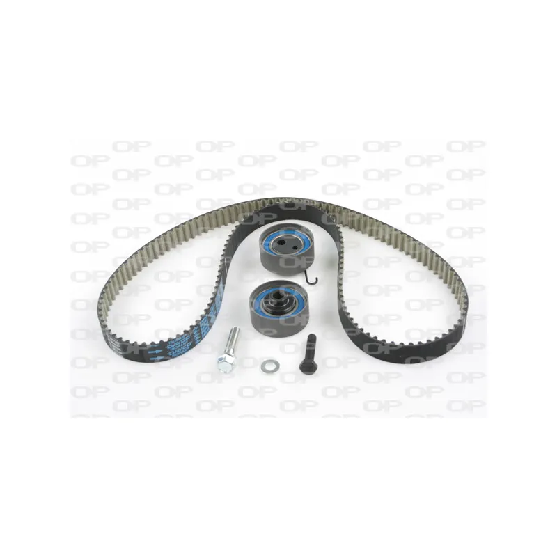 Kit de distribution OPEN PARTS TBK5028.11