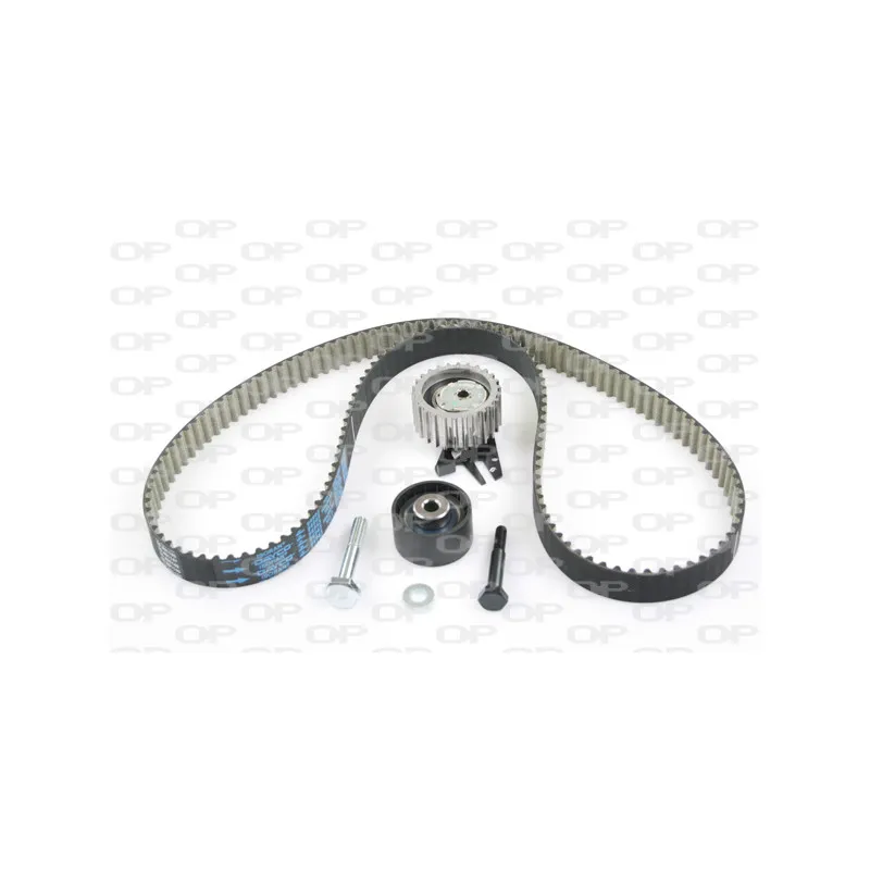 Kit de distribution OPEN PARTS TBK5029.11