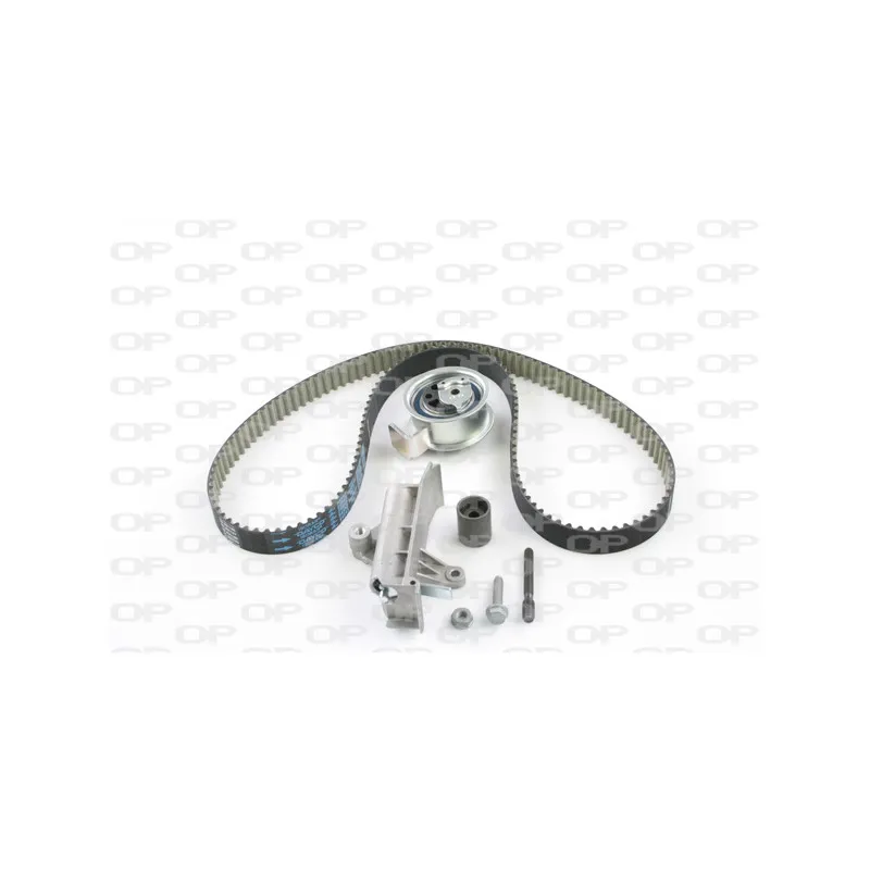Kit de distribution OPEN PARTS TBK5030.11