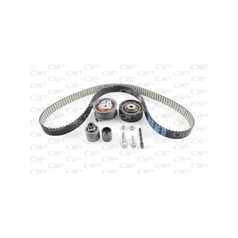 Kit de distribution OPEN PARTS TBK5032.11