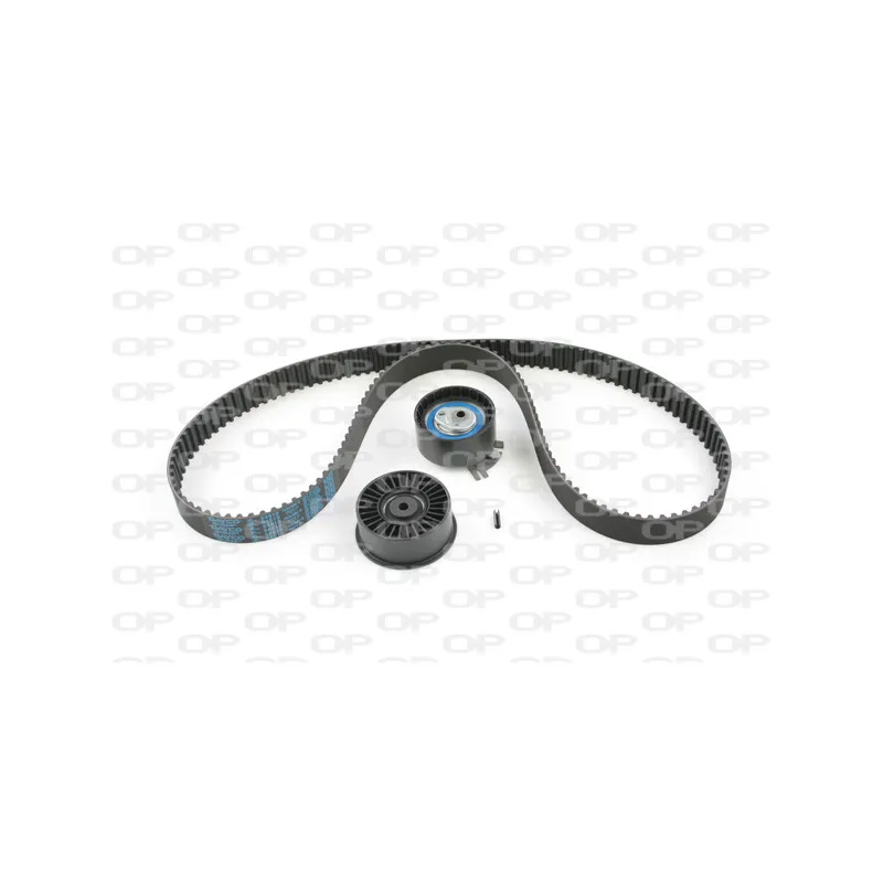 Kit de distribution OPEN PARTS TBK5033.01
