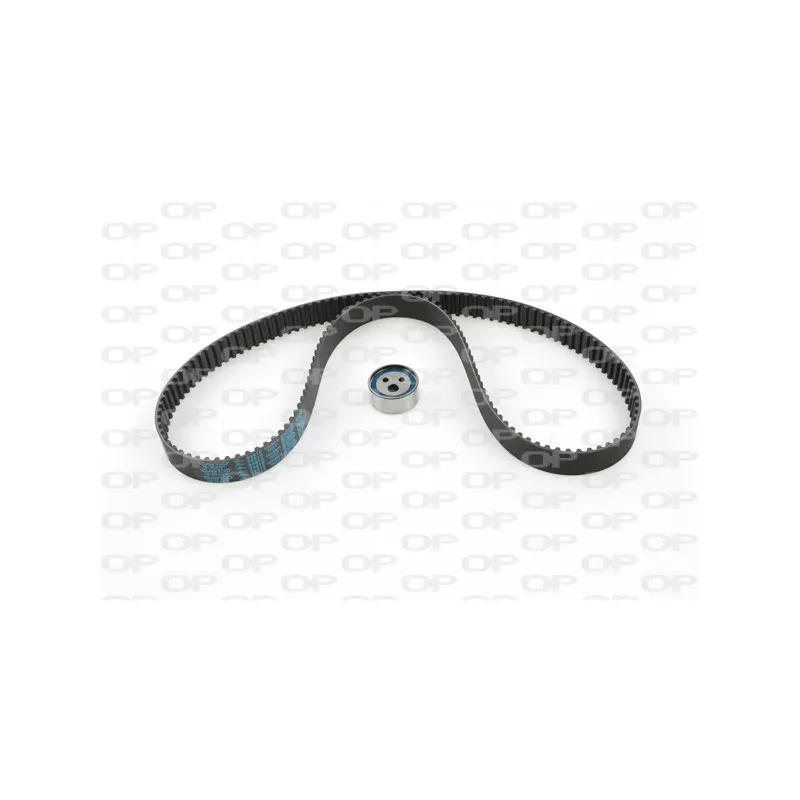 Kit de distribution OPEN PARTS TBK5034.01