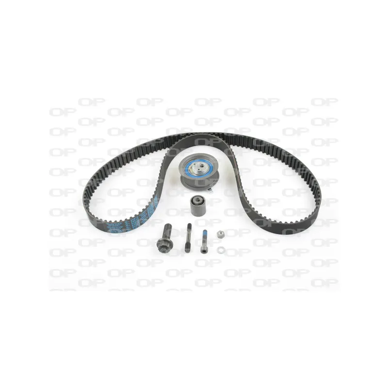 Kit de distribution OPEN PARTS TBK5036.11
